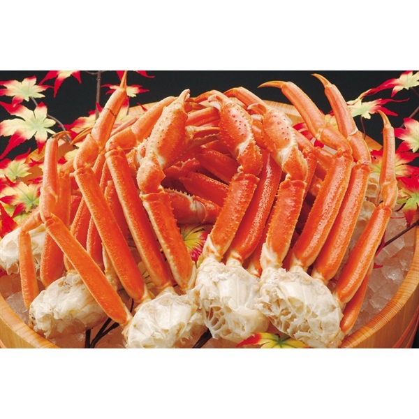 ボイルずわい蟹脚太脚 約2ｋｇ